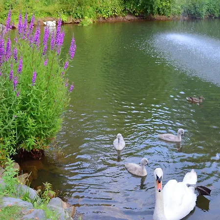 Appartamento Mit Eigener Terrasse In Hueddinge