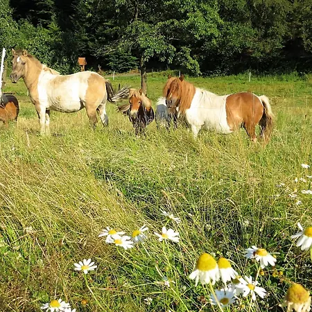 Lejlighed Mit Eigener Terrasse In Hueddinge Bad Wildungen