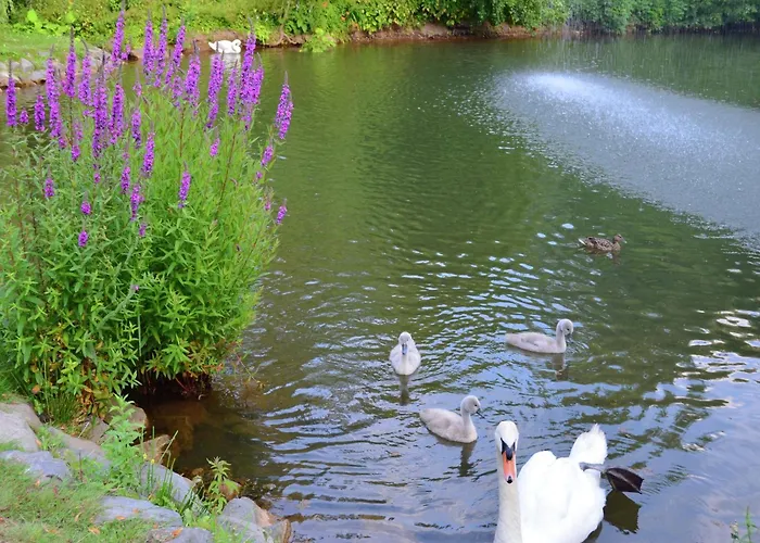 Apartament Mit Eigener Terrasse In Hueddinge