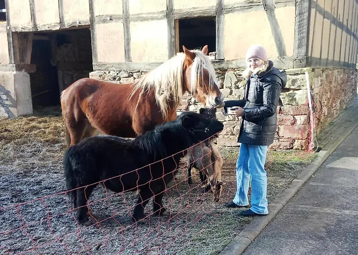 Apartament Mit Eigener Terrasse In Hueddinge *